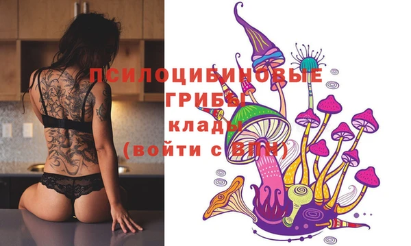 ECSTASY Зерноград