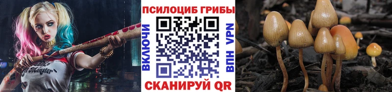 Псилоцибиновые грибы прущие грибы Купить Злынка